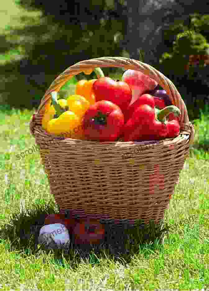 A Basket Filled With Fresh, Ripe Vegetables From The Garden Epic Tomatoes: How To Select And Grow The Best Varieties Of All Time