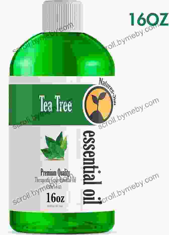 A Bottle Of Tea Tree Oil Home Remedies To Treat Minor Wounds