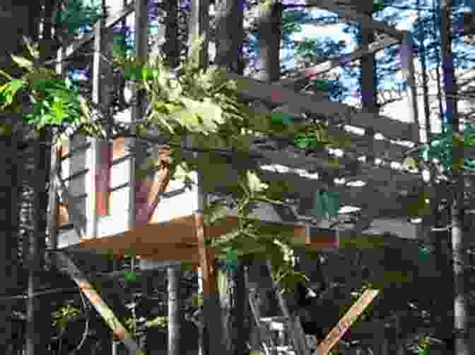 A Boy Building A Treehouse, Surrounded By Lush Greenery From The Dangerous Book For Boys The Dangerous For Boys