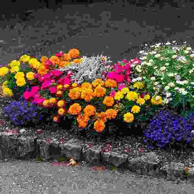 A Close Up Of A Blooming Flowerbed In A Garden Epic Tomatoes: How To Select And Grow The Best Varieties Of All Time