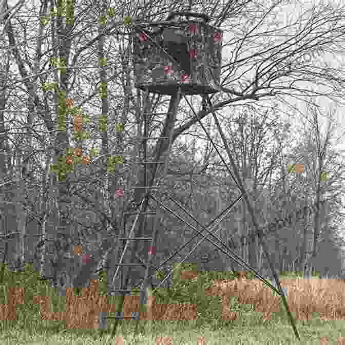 A Deer Stands Gracefully In A Field Beside A New England Roadside New England S Roadside Ecology: Explore 30 Of The Region S Unique Natural Areas