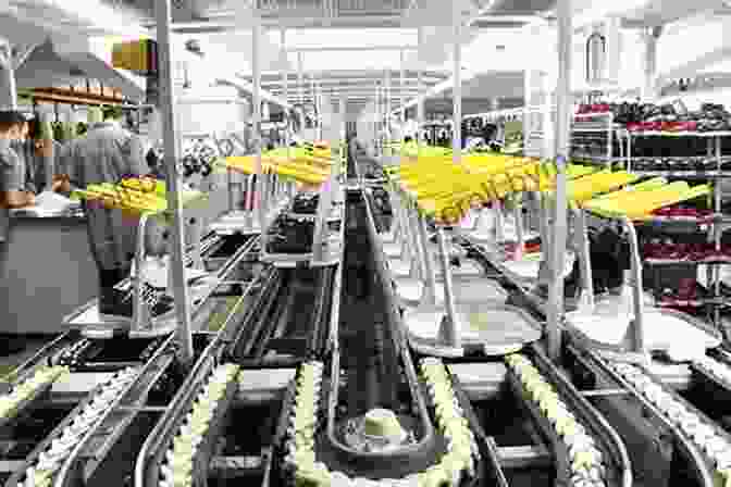 A Production Line In A Shoe Factory The Perfect Fit: Creative Work In The Global Shoe Industry