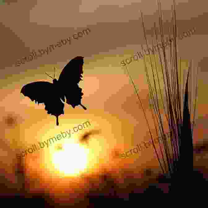 A Surreal Landscape With Towering Butterflies Against A Vibrant Sunset No Country For Eight Spot Butterflies: A Lyric Essay