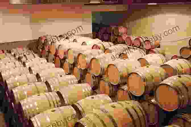 A Winemaker Carefully Inspects A Barrel Of Aging Wine An Excellent Vintage (The Journey 8)