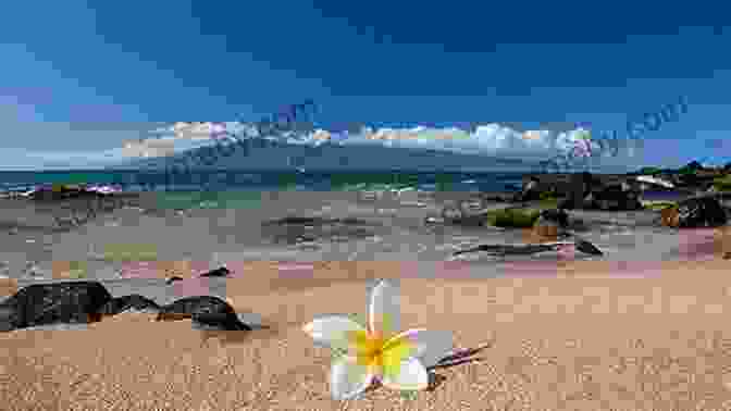 A Young Woman Sits On A Beach In The Pacific Islands, Surrounded By Frangipani Trees And Fanta Bottles. Mango Rash: Coming Of Age In The Land Of Frangipani And Fanta