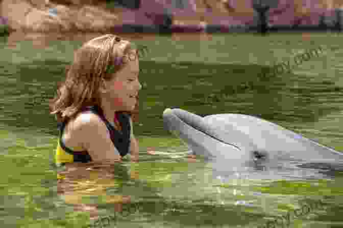 Anya, Ollie, And Stella Swimming With Dolphins The Sea Unicorn (Sea Keepers 2)