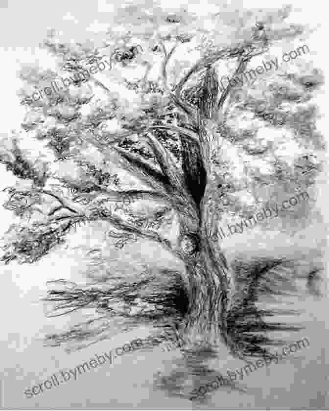 Charcoal Drawing Of A Tree Drawing Painting Trees In The Landscape