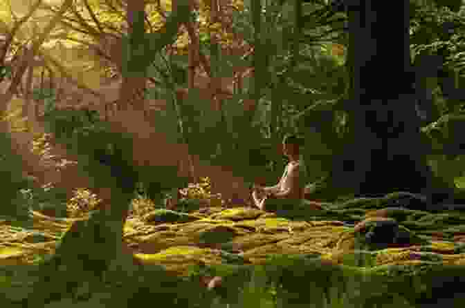 Cultivator Meditating In A Tranquil Forest Fates Parallel Vol 2: A Xianxia/Wuxia Inspired Cultivation Academy