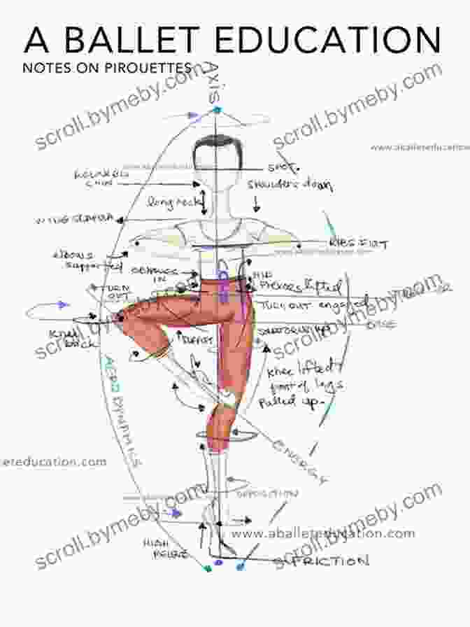 Diagram Of A Dancer's Anatomy In Motion Functional Awareness: Anatomy In Action For Dancers