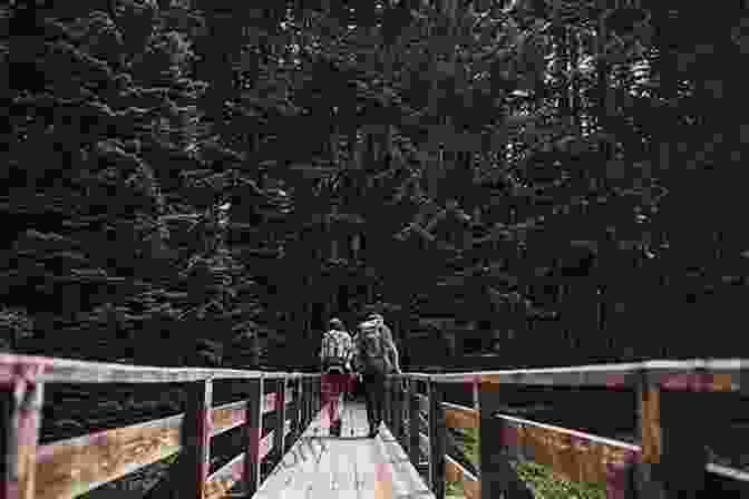 Hikers Crossing A Wooden Bridge Over A Cascading Stream In The Olympic Peninsula Day Hiking Olympic Peninsula 2nd Edition: National Park / Coastal Beaches / Southwest Washington