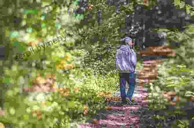 Image Of A Person Tracking Through A Forest The Unofficial Hunger Games Wilderness Survival Guide