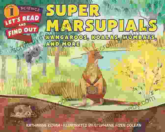 Kangaroos, Koalas, Wombats, And More Book Cover Super Marsupials: Kangaroos Koalas Wombats And More (Let S Read And Find Out Science 1)