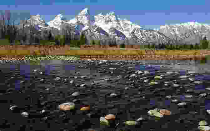 Majestic Teton Mountains In Wyoming Wyoming Wild Clinton Spurr