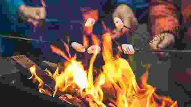 Marshmallows Roasting On A Stick Over A Campfire Camping Cookbook Food On Stick Recipes (Camp Cooking)