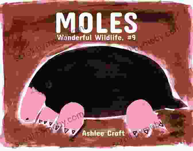 Of Moles And Molehunters Book Cover Featuring A Mole And A Mole Hunter OF MOLES And MOLEHUNTERS Luciano Simonelli