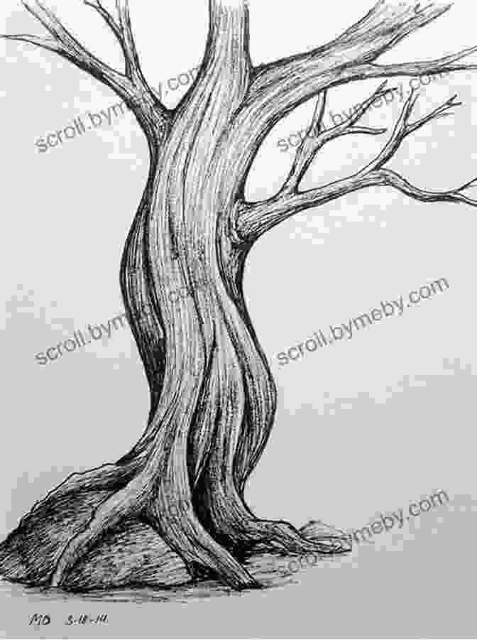 Pencil Sketch Of A Tree Drawing Painting Trees In The Landscape