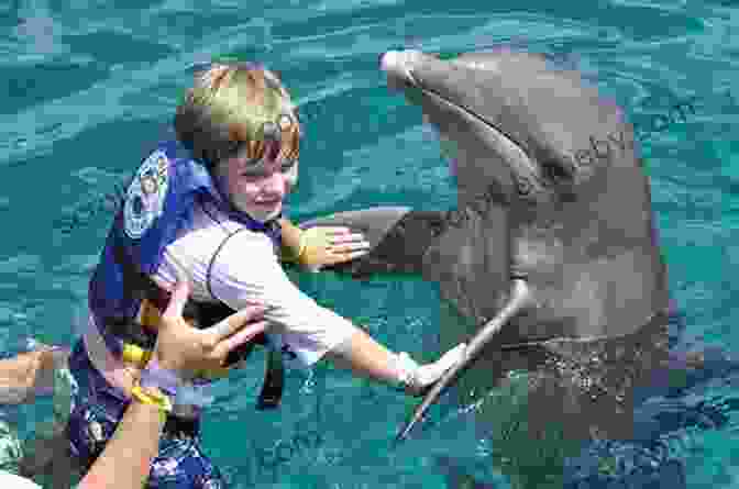 Penelope And Cloud Playing With Dolphins The Never Ending Adventures Of Cloud And Penelope