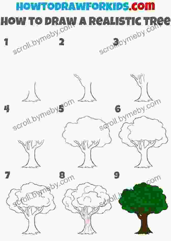 Step By Step Instructions For Drawing A Tree Drawing: Colored Pencil Basics: Learn To Draw Step By Step (How To Draw Paint)