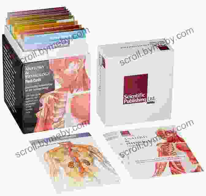 Student Studying Anatomy With Flash Cards Netter S Advanced Head And Neck Flash Cards E (Netter Basic Science)