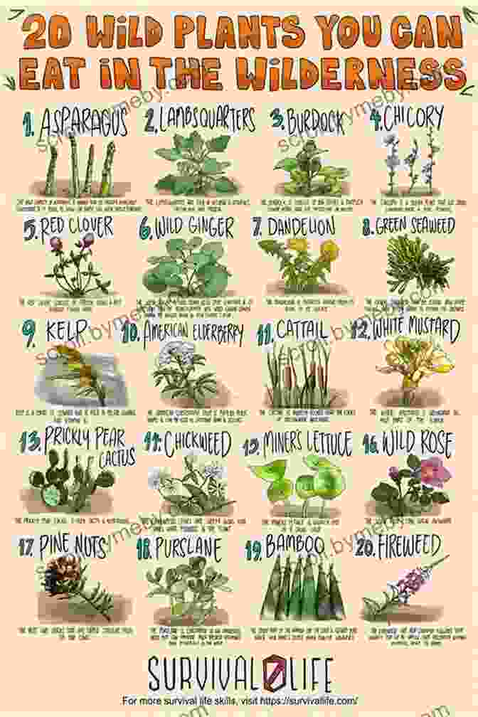 Survival Tip: Identifying Edible Plants Survival Hacks: Over 200 Ways To Use Everyday Items For Wilderness Survival