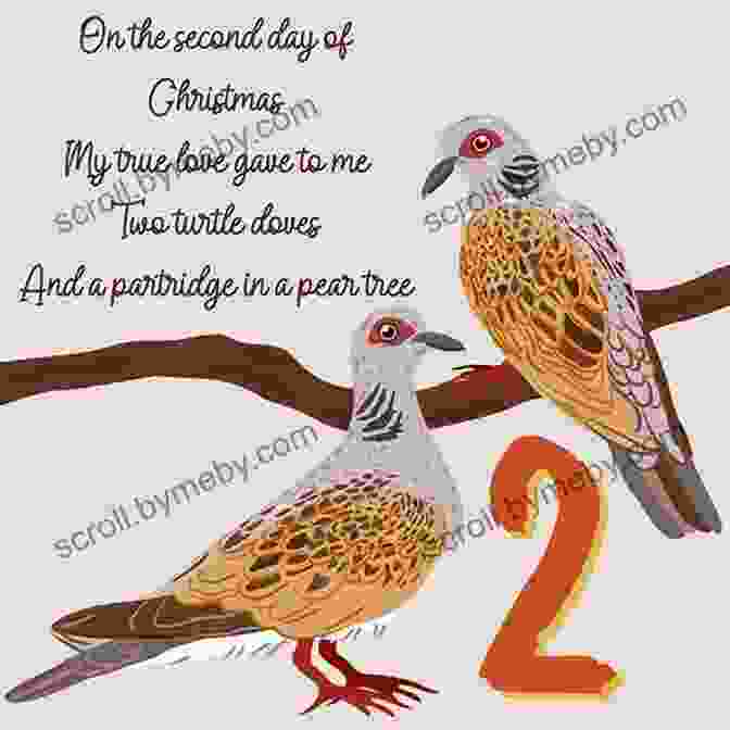 Two Turtle Doves Perched On A Branch, Representing The Peace And Harmony Of The Second Day Of Christmas. Secret Santas: And The Twelve Days Of Christmas Giving