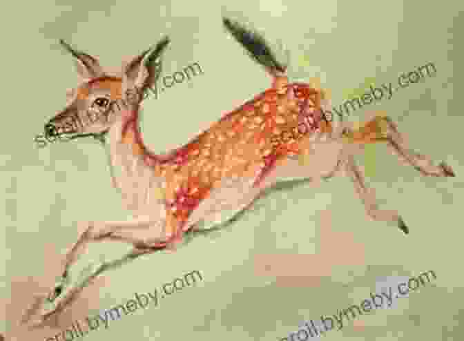 Watercolour Painting Of A Leaping Deer WATERCOLOUR BRUSH PENS TUTORIAL PAINT STUNNING WILDLIFE: A DETAILED STEP BY STEP PARROT TUTORIAL GUIDE