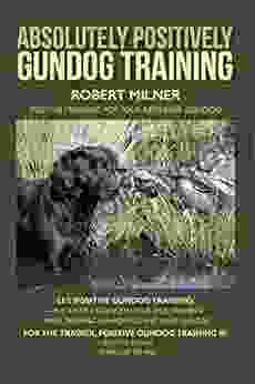 Absolutely Positively Gundog Training: Positive Training for Your Retriever Gundog