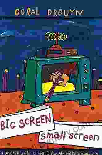 Big Screen Small Screen: A Practical Guide To Writing For Flim And Television In Australia