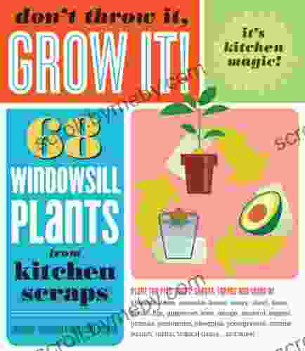 Don T Throw It Grow It : 68 Windowsill Plants From Kitchen Scraps