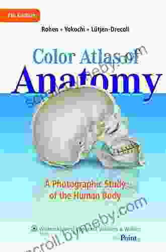 Anatomy: A Photographic Atlas (Color Atlas Of Anatomy A Photographic Study Of The Human Body)