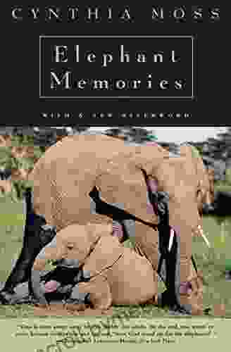 Elephant Memories: Thirteen Years In The Life Of An Elephant Family