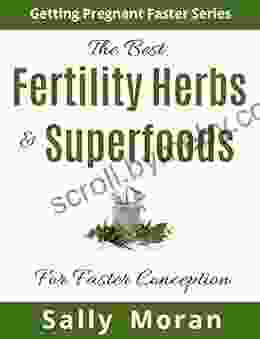 Getting Pregnant Faster: The Best Fertility Herbs Superfoods For Faster Conception