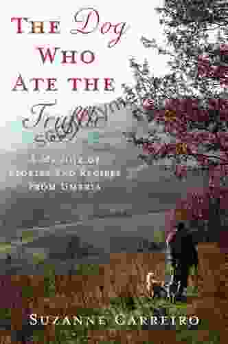 The Dog Who Ate the Truffle: A Memoir of Stories and Recipes from Umbria