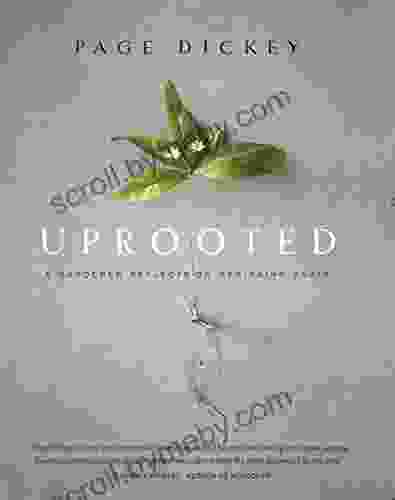 Uprooted: A Gardener Reflects On Beginning Again