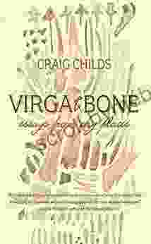 Virga Bone: Essays From Dry Places