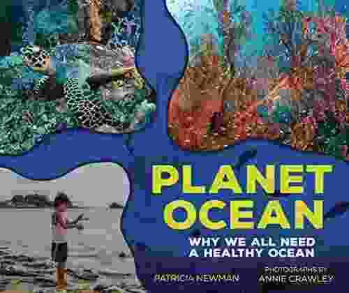 Planet Ocean: Why We All Need A Healthy Ocean